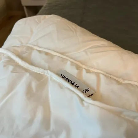 招待所 House Bahamas